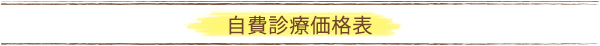 とみた歯科クリニック自費診療価格表