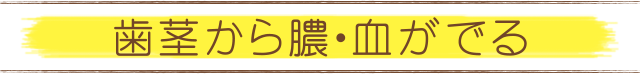 歯茎から膿、血がでる・ぐらぐらする